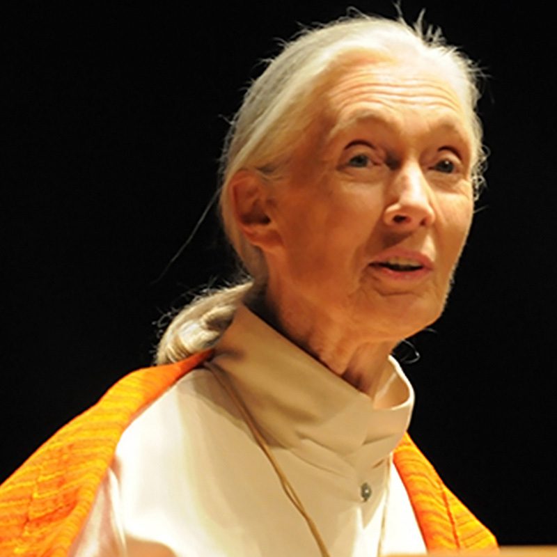 Jane Goodall